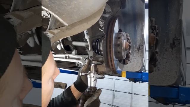 Оживление редких экземпляров