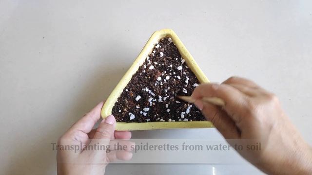 909b9ccd15f5a4b84866b7d888480c52