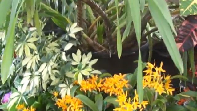 A2c6234993b576eebccafefc336b0f3e