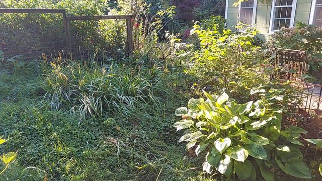 C694d4c5ae1cc6829913dd1842823810