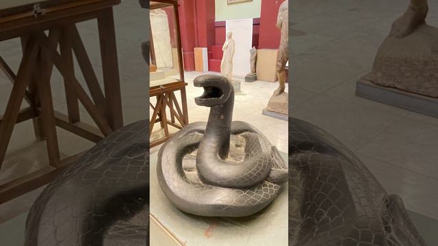 Египетский музей Каира 🇪🇬 The Egyptian Museum #egypt #travel #summer #museums #египет #путешествия