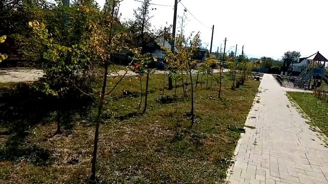 Парк в Псебае, солнечная осень