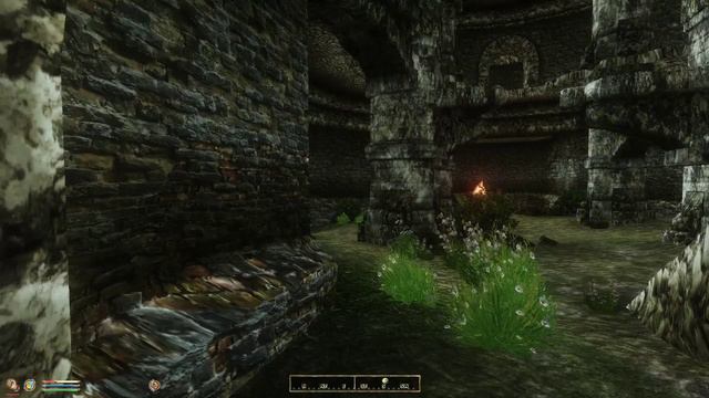 Oblivion W/Bevilex Modlist (link In Description) 11