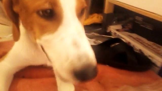 76d1b6f0681cbbad627e8084f36681cd