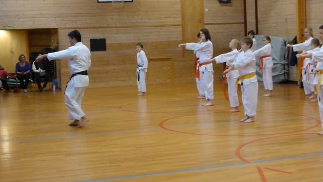 Treningssamling Med Sensei Poh Lim 6. Dan På Otta Shotokan Karateklubb