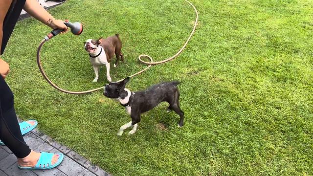 881505e75a43252c4ce2a8bacd7e74d1