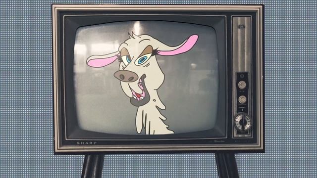 ЖВАЧКА ЕСТЬ?