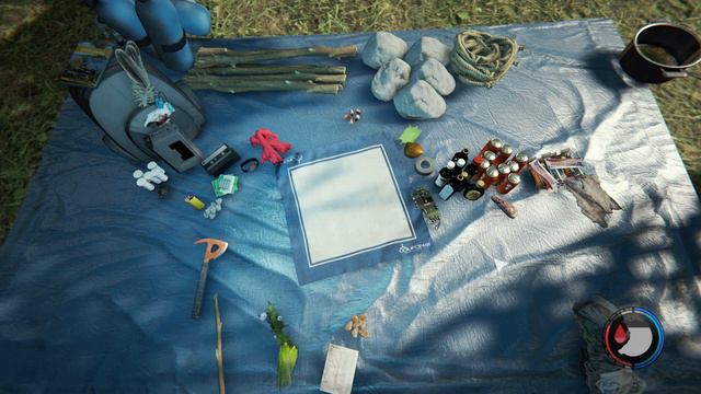 The Forest (2021) - Exploration!