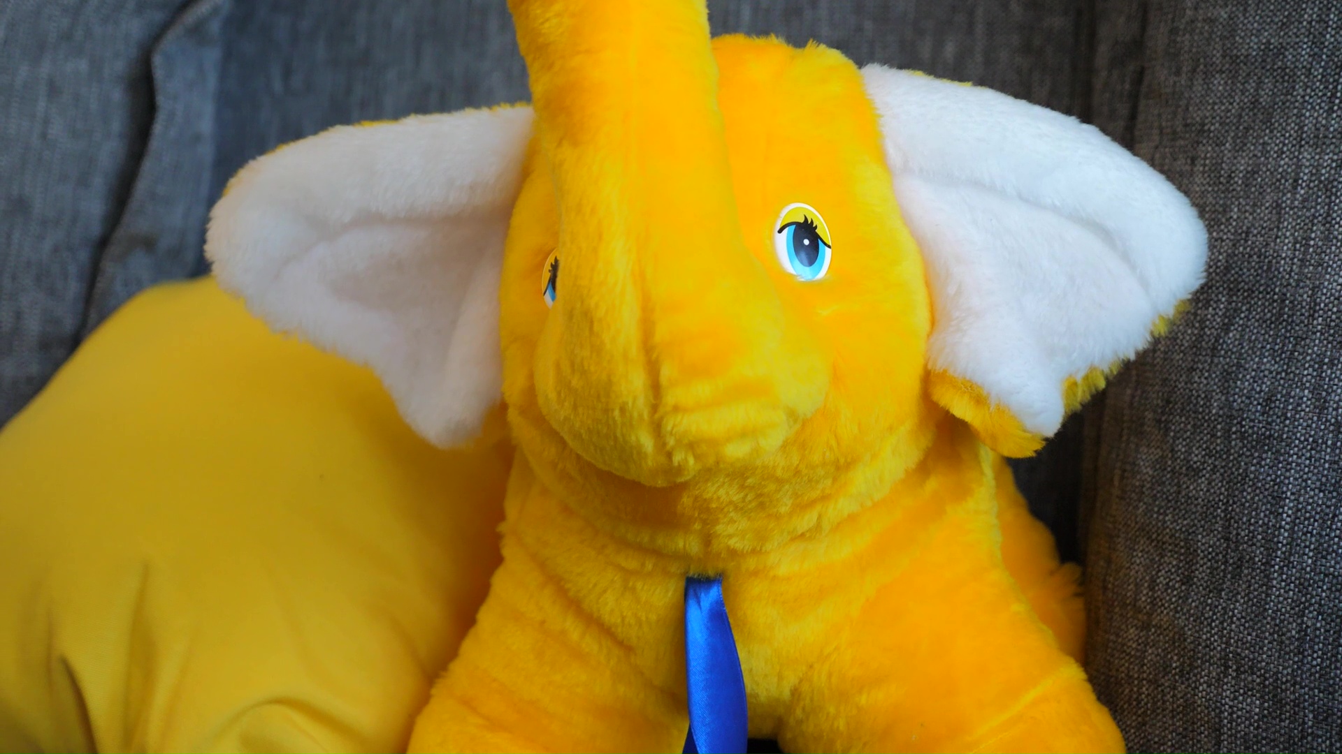 Алексей Аскурава 24/7 нарды