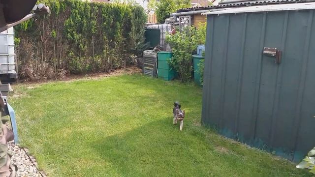 7360de071090a6b8f1198593b611ce27