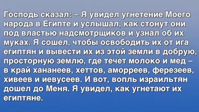 Лес за деревьями 2/6: Израиль, 1-ая часть, Марк Мур