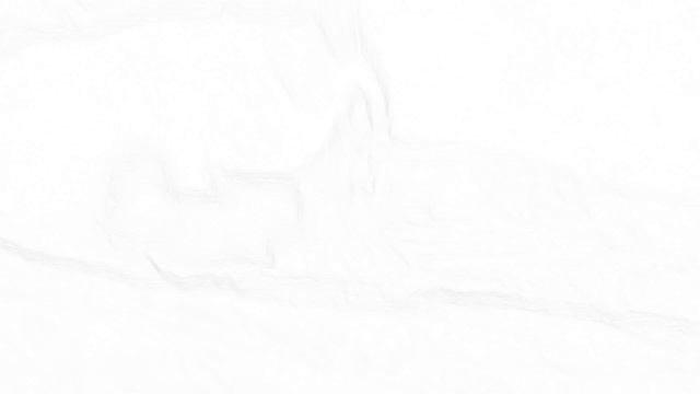 Бешеная собака