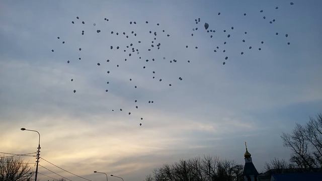 86ba5669ee562b11d429e4183fe0bcab