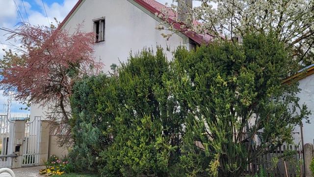 Spring To Summer Flower Garden Transition 2022 // Zone 7