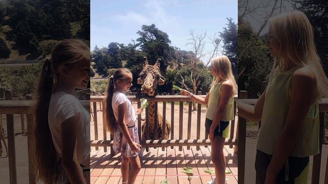 Karolina Protsenko Photo