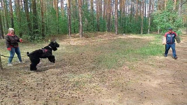 Ffc1af7858b97bf48b06c67b7b112c48