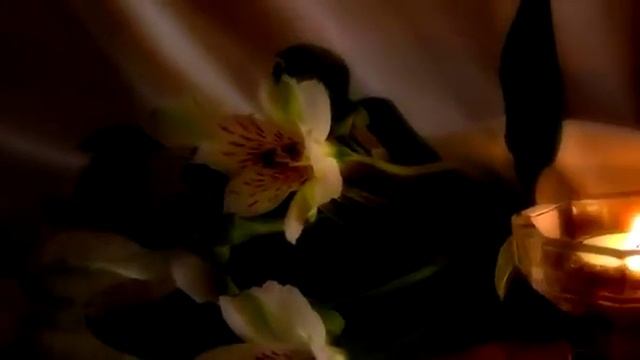 Денис Клявер --