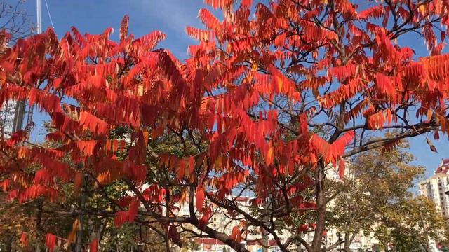 2302df0ee67ade90ba2111c046214b1a