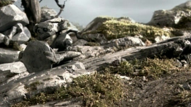 Rocks.Das.Rad.Germany-pp