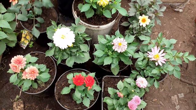 Bcce37b3f57f86866f12c091af93123e