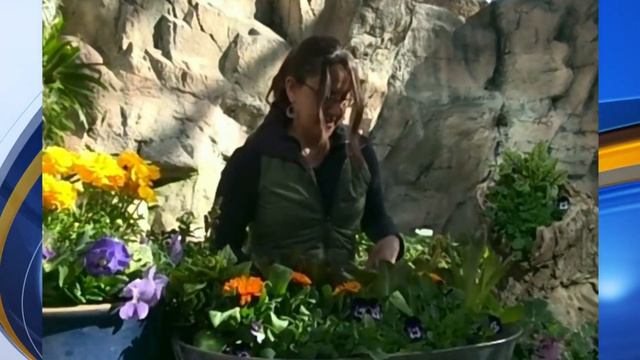 BioPark Botanic Garden Offers Tips On Spring Gardening