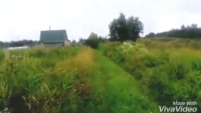 У д.Нурма массив Полевой