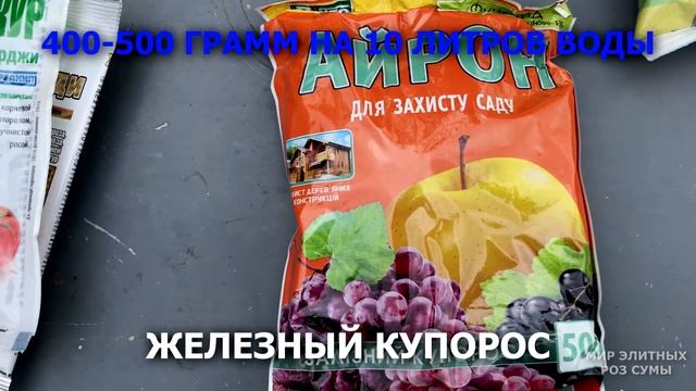 Спасаем розы от болезней. Обработка фунгицидами. Чем я обрабатываю свои розы 28 сентября 2021 года.