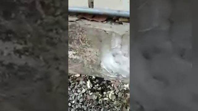 666f4a16a91a701abde21dbbe303b976