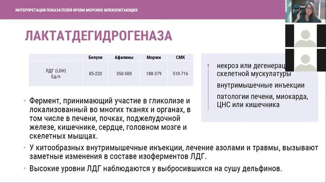 A2fb68b9fffba60ec7bddc24469c3556