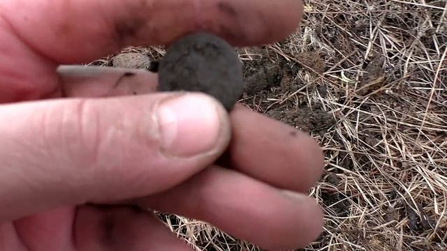 ЧУТЬ НЕ СКАТИЛСЯ СО СКЛОНА ИЗ ЗА ЭТИХ НАХОДОК.