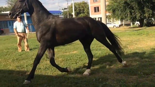 Cd372879a2073299292f7e9948ffb275