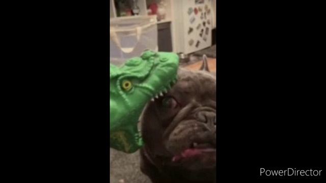 A478422d8e3db4f336503ac458882003