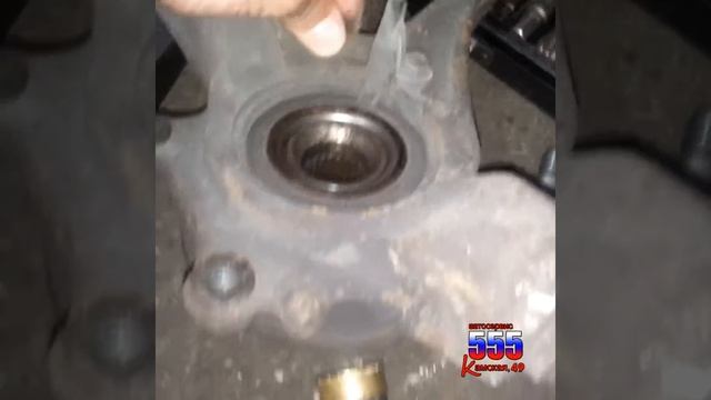 Световые инсайты