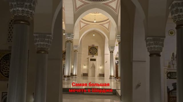 Самая большая мечеть в эмирате Шарджа. #shorts #shortsvideo #shortsvideos