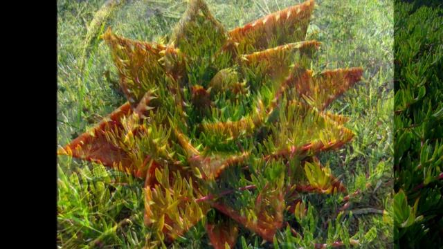 75c127d8130eac388583d39872d37fae