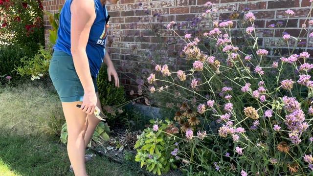 0865edd47ee707237709fccdba628a6a