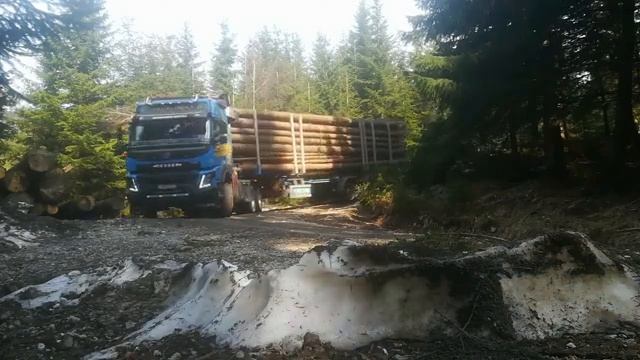 Volvo Fmx Lesovoz