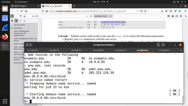 SEED 2.0 DNS In A Box Lab