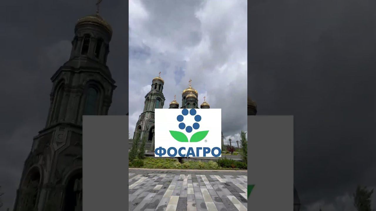 5 дивидендных акций для покупки в 2023 г #инвестиции #финансы #дивиденды #инвестициидляначинающих