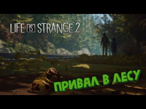 5cef3c658fee94b42654e15bb02c731a