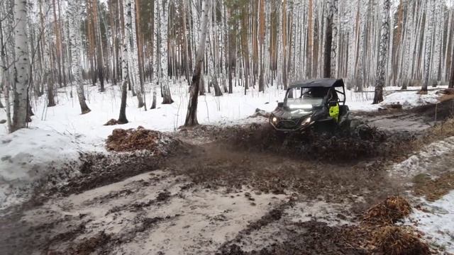 квадро проба 2