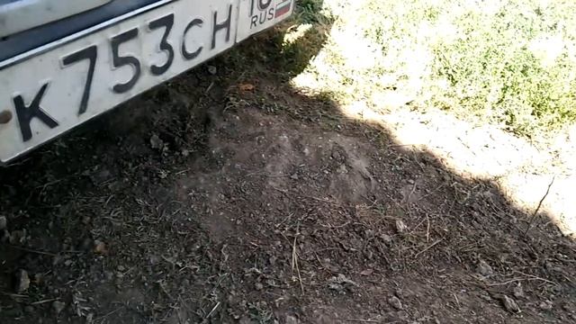 Рыжий котенок играется с мышкой