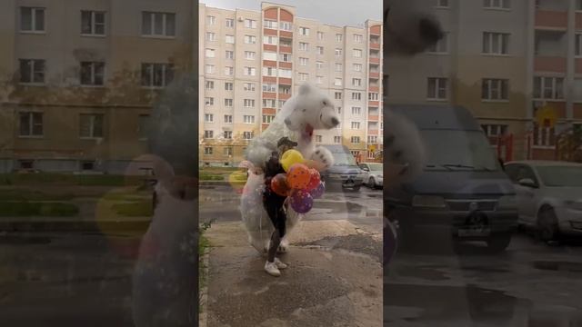 С ДНЁМ РОЖДЕНИЯ! ??