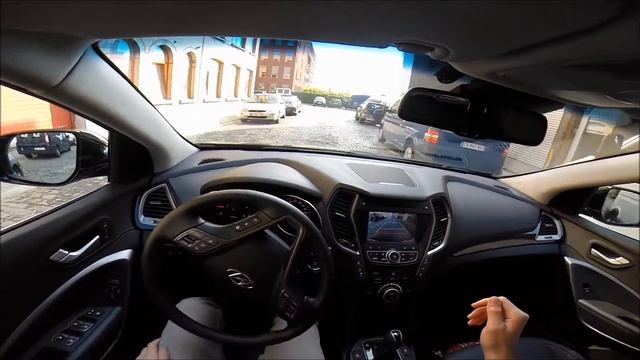 Домашний идеал