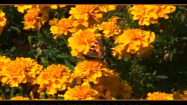 Мода и стиль