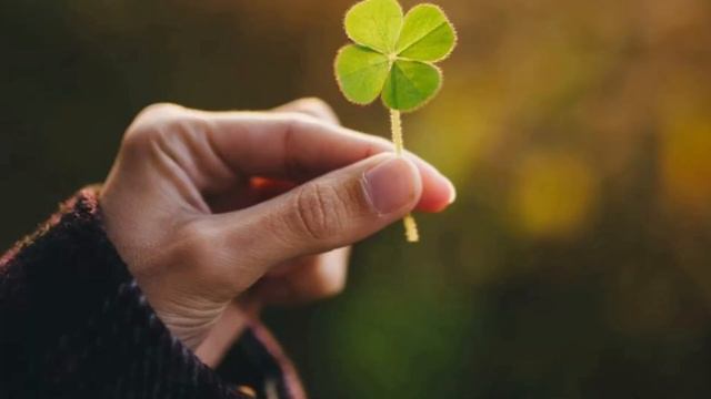 ТО, ЧТО БЫЛО ДАЛЬШЕ - ПОРАЗИЛО !!!