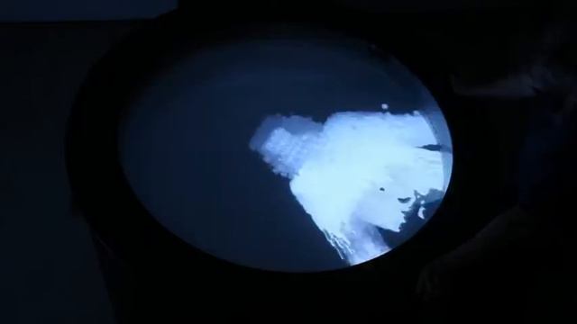 Echo & Narcissus @ Beall During Summer