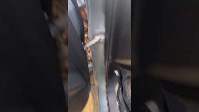 На выездной диагностики Subaru Forester ￼