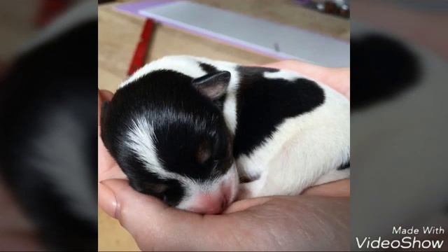 19cd0c9c6922127f7e0bf36d5fd9cc18