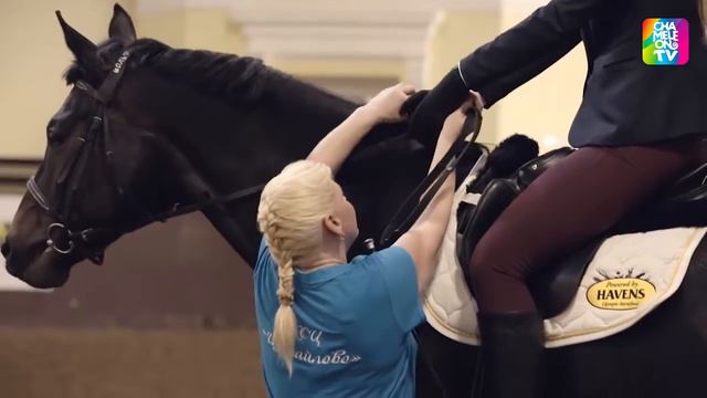 ProКрасоту — Лошадь. Инструкция по применению